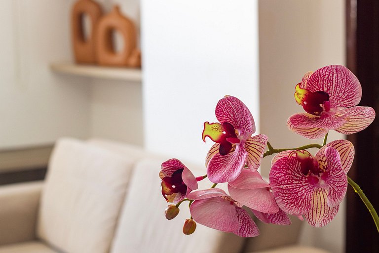 Duplex Penthouse Tambaú with Sea View Jacuzzi 404